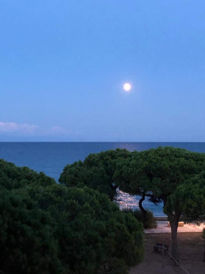 Apartment Direkt Am Strand Blanes Extérieur photo